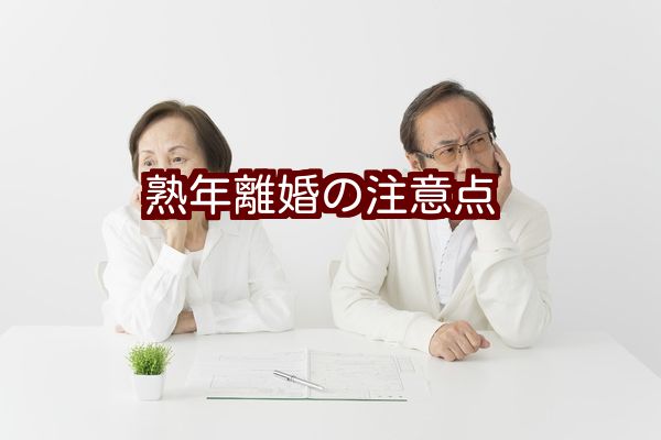 熟年離婚慰謝料法律相談弁護士東京